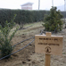 foto de asociacin oropndola